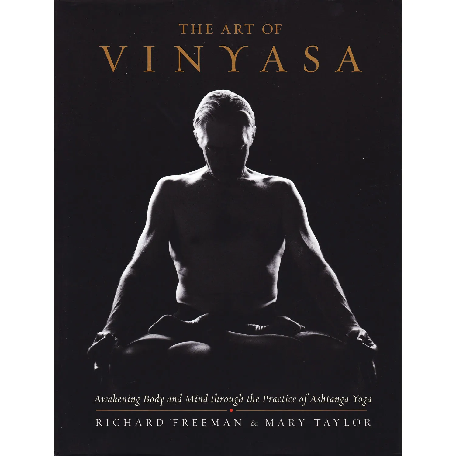 ヴィンヤサの芸術（The Art of Vinyasa）